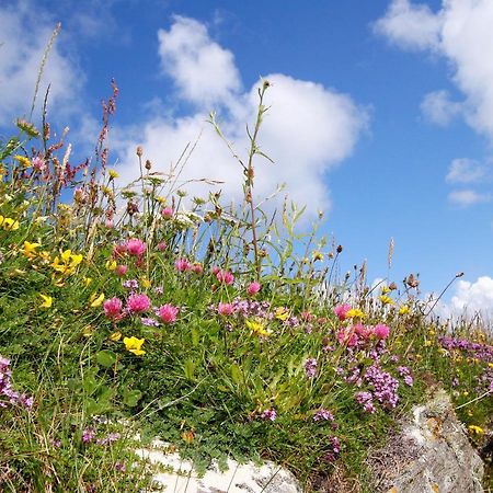 Meadow Cottage Belmullet Buitenkant foto